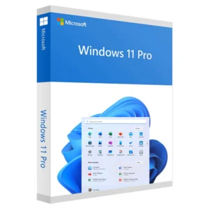 Windows 11 Pro